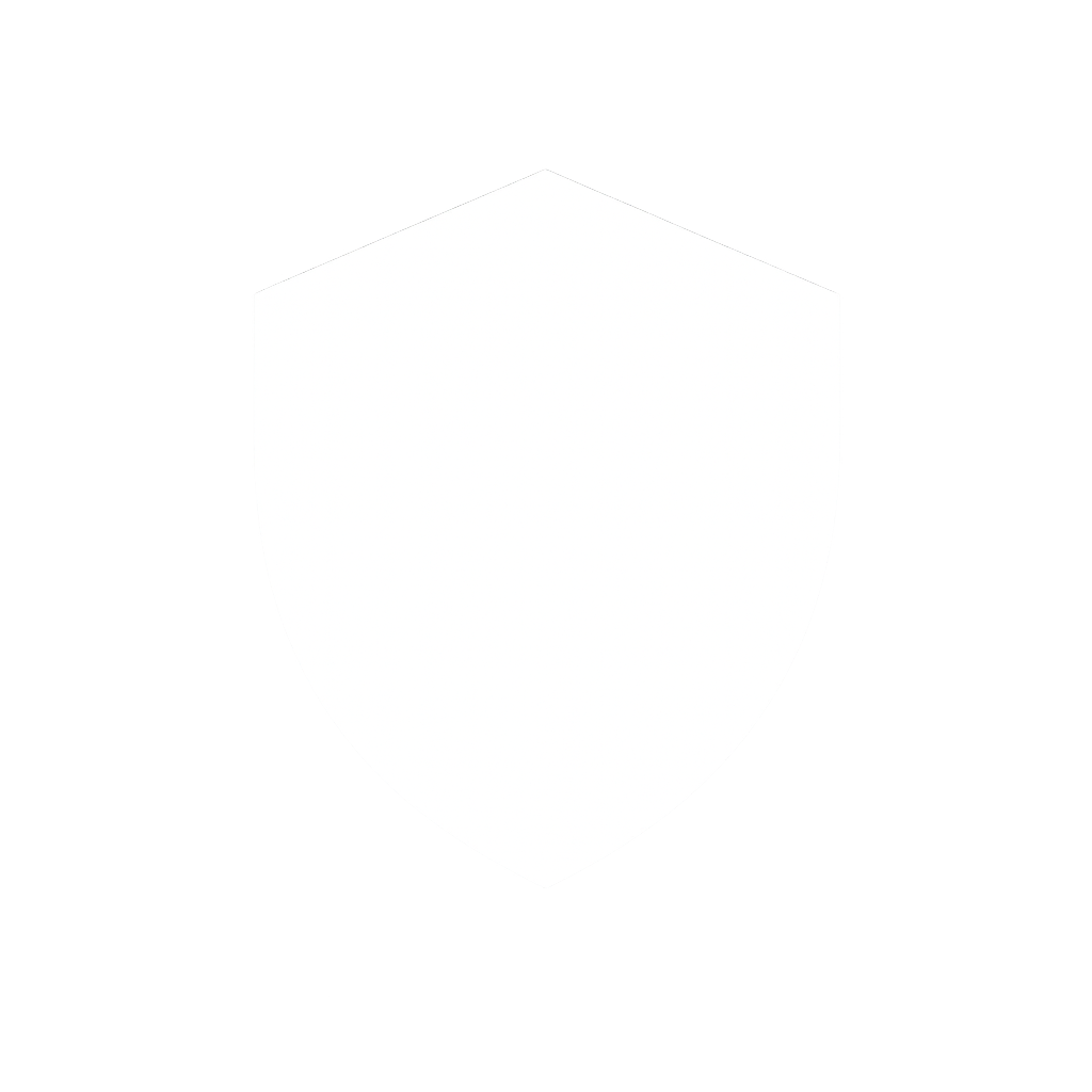 Shield Icon